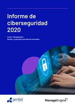 Informe ciberseguridad 2020